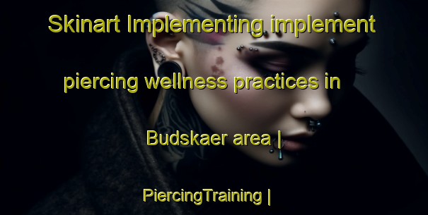 Skinart Implementing implement piercing wellness practices in Budskaer area | PiercingTraining | PiercingClasses | SkinartTraining-Sweden